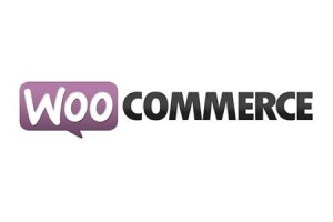 ecommerce-woocommerce site ecommerce woocommerce